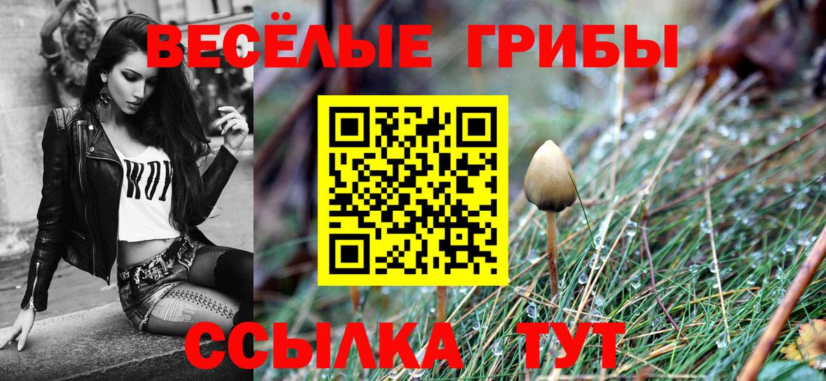Псилоцибиновые грибы мицелий  Галлюциногенные грибы прущие грибы  Сланцы  Вход с VPN 